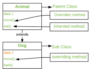 Method Overloading vs. Method Overriding: Key Differences and Use Cases ...